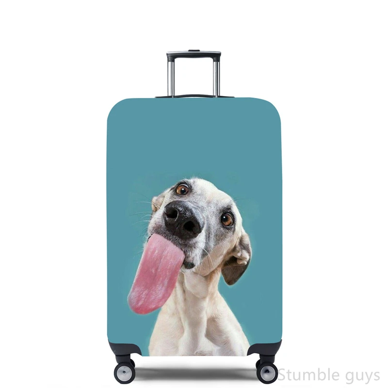 Stretchy Luggage Cover Protect - Travel Accessories Needed incelemesi ve fiyatı