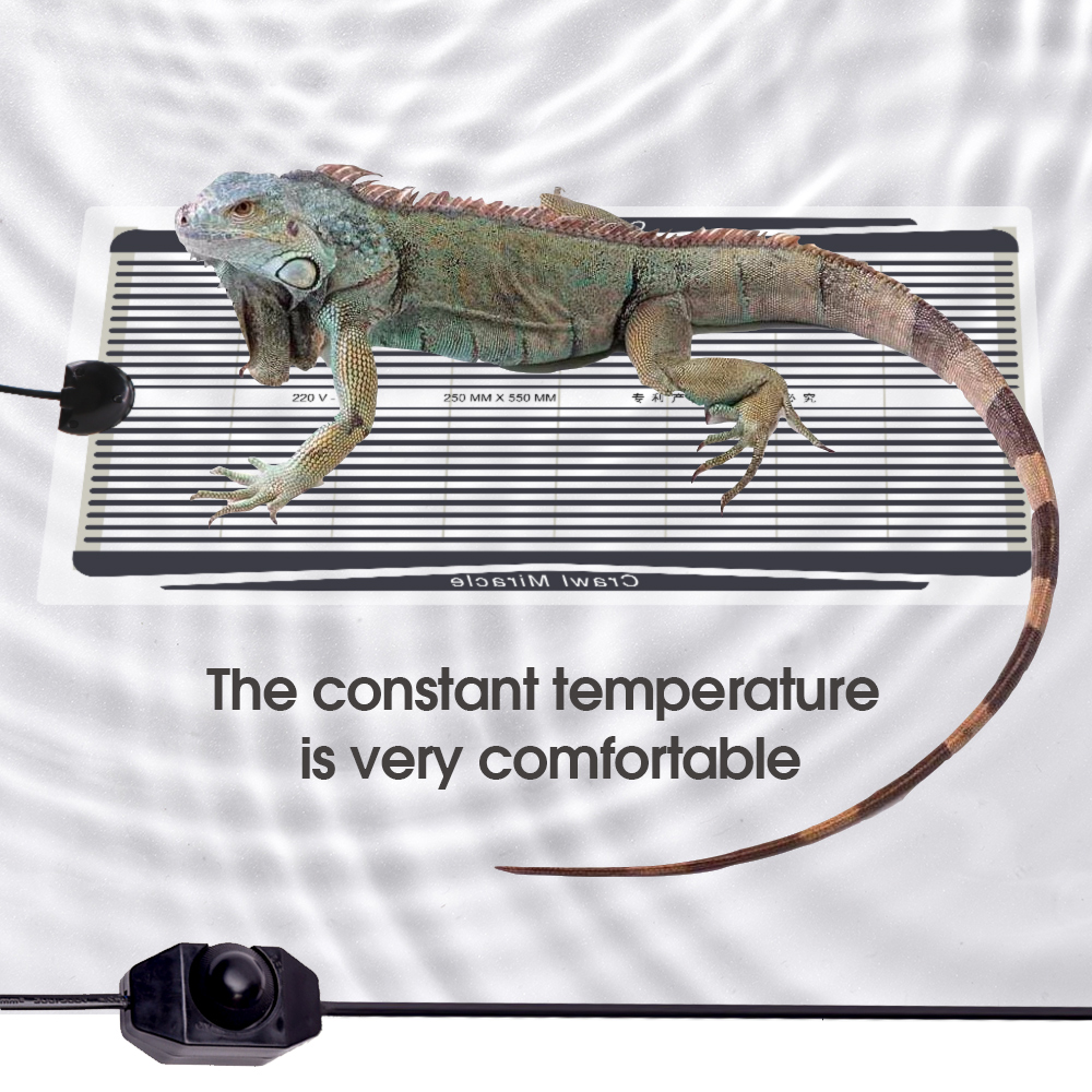 5W-35W Plant Heating Mat Graph - Travel Accessories Uk incelemesi ve fiyatı